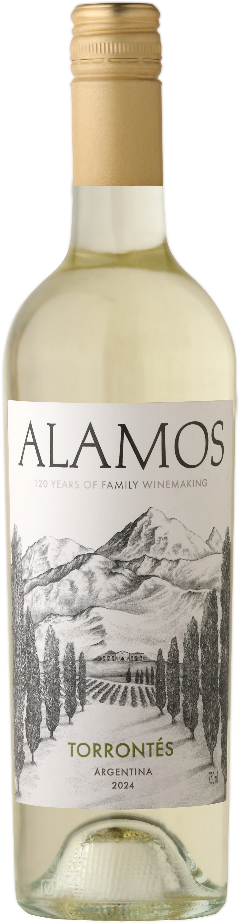 Alamos Torrontes