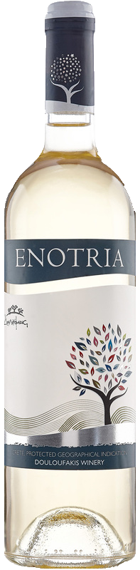 Enotria White